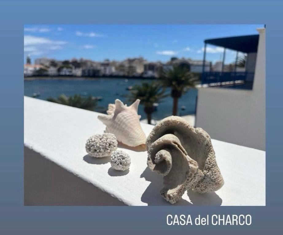 阿雷西费Casa Del Charco 2,0别墅 外观 照片